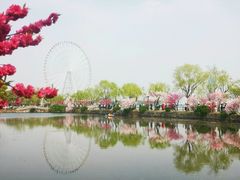 -无锡蠡湖国家湿地公园-蠡园