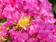 -杭州城北体育公园