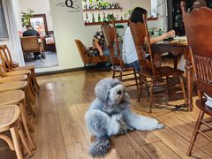 -沏点Trattoria意大利餐厅(新街口店)