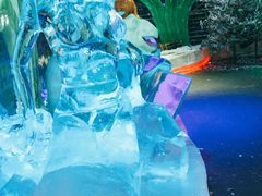 -世界之窗阿尔卑斯冰雪世界