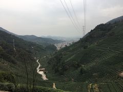 -午潮山国家森林公园