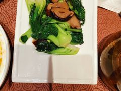 香菇菜心-东方明珠老上海8号餐厅(东方明珠广播电视塔店)