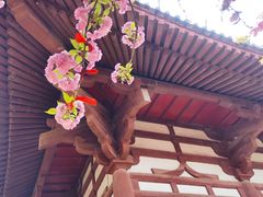 -西安青龙寺遗址景区