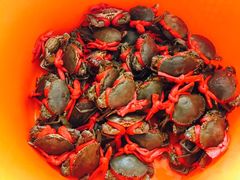 -蚝乡农庄(铁涌赤岸店)