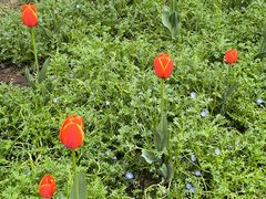 -浙江大学(玉泉校区)