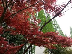 android_upload_pic-上海怡沁园度假酒店