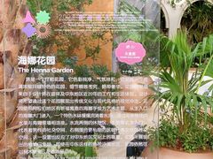 -深圳仙湖植物园