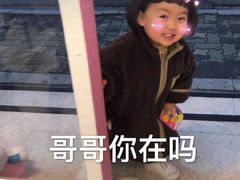 -大学路8号炸串(大学路十四号院店)