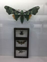 -酷嗒动物文化乐园(cutezoo西溪乐天城店)