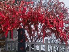 -青州市云门山风景区