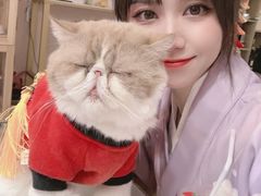 -Sweet cat·星愿猫咖(国贸大厦店)