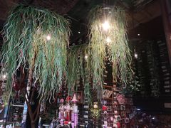 -胡桃里音乐酒馆(环亚凯瑟琳广场店)