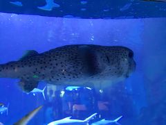 -威海华夏城景区