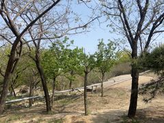 -白水寺森林公园