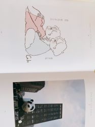 -青悠映画摄影工作室