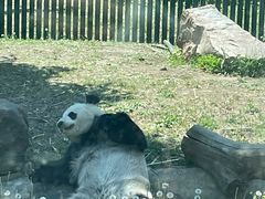 -沈阳森林动物园