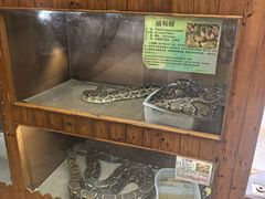 -上海昆虫博物馆