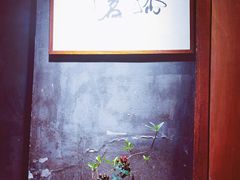 -青藤茶馆(南山路店)