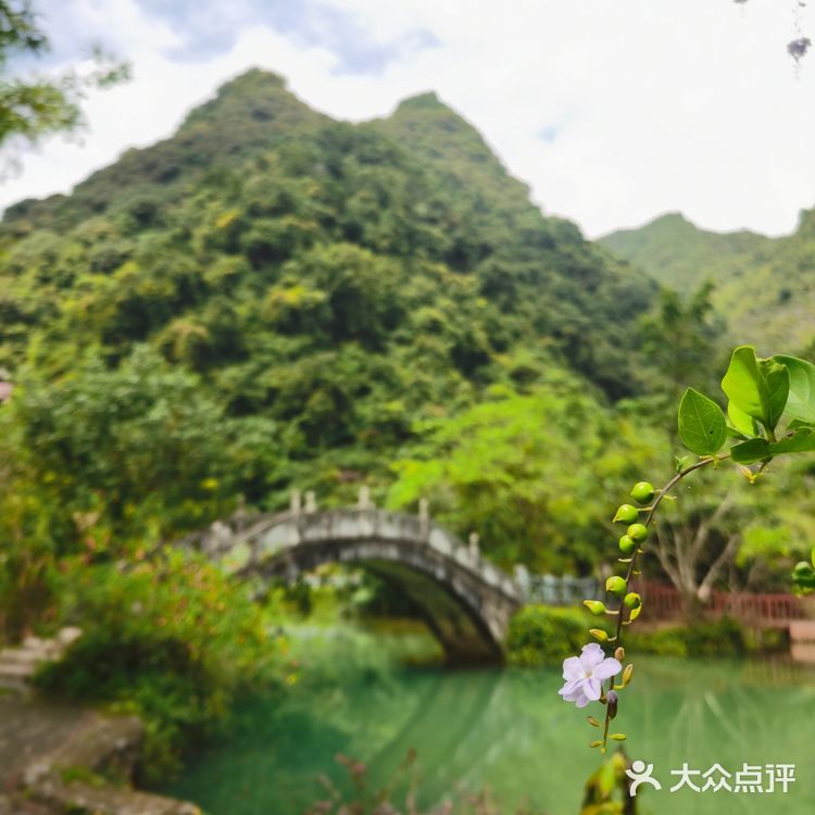 靖西∽游记🌾鹅泉风景区