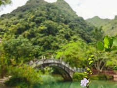 -靖西鹅泉风景区