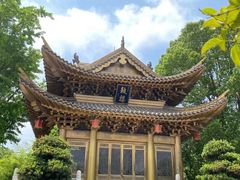 -上海东林寺(金山区)