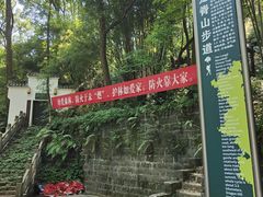 -南山植物园