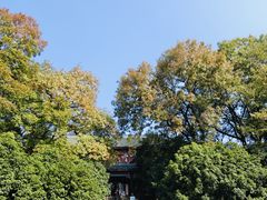 -灵谷景区