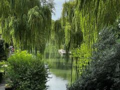 -扬州狮子楼·非遗淮扬菜(东关街店)