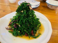 炝拌沙葱-国强手抓(北京西路店)