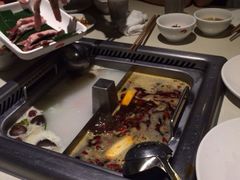 海底捞火锅-海底捞火锅(龙岗星河COCO Park店)