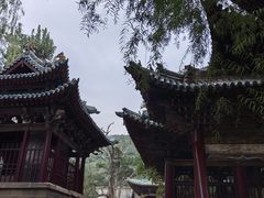 -晋祠公园