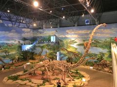 -自贡恐龙博物馆