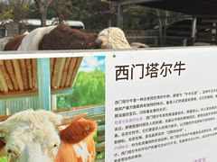 -圣露庄园·亲子活动乐园·露营·团建婚礼
