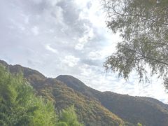 -王顺山国家森林公园