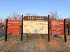 -盐城丹顶鹤湿地生态旅游区