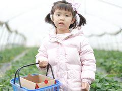-小鱼草莓采摘园农家乐·小鱼餐厅