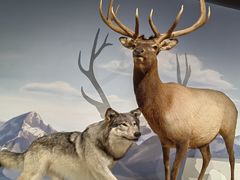 -陕西自然博物馆