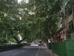 -老赵面店(大西路店)