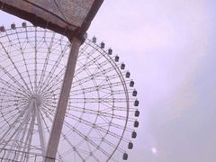 -凤凰欢乐大世界