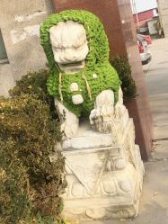 -Oasis Beauty水磨坊科技美肤中心