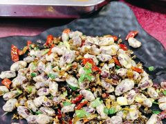 -兄弟·南瓜田鸡