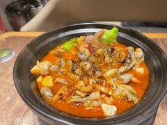 黑松露牛肝菌焖牛蛙-云海肴云南菜(浦江欢乐颂店)