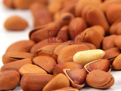 东北松子兰州满48元免费送货上门-义乌商贸城