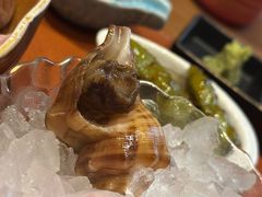 -松涛日本料理