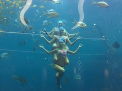 -瑞德姆美人鱼海底演艺主题餐厅(亚龙湾店)