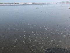 -江山半岛白浪滩景区