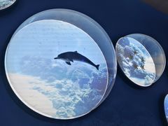 -上海中国航海博物馆