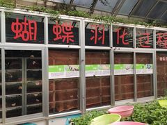 -蝴蝶泉公园