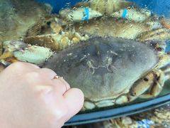 -渔中舟海鲜大排档(普陀沈家门店)