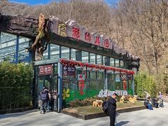 -栾川竹海野生动物园